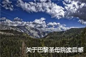 关于巴黎圣母院读后感1000字精选_高中读后感