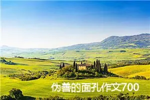 伪善的面孔作文700字_高一作文