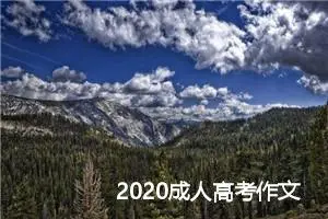 2020成人高考作文赏析：沉潜与成功_作文1300字_高考作文预测