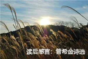读后感言：普希金诗选的读后感900字_高中读后感