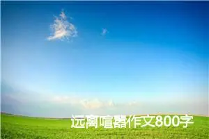 远离喧嚣作文800字_高三作文