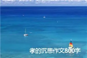 孝的沉思作文800字_高一作文