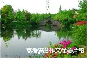 高考满分作文优美片段_作文650字_高考作文赏析