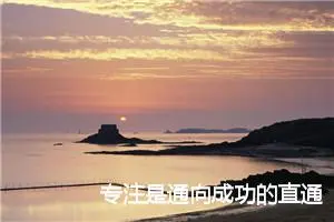 专注是通向成功的直通车作文800字_高一作文