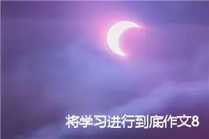 将学习进行到底作文800字_高三作文