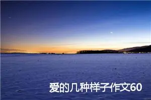 爱的几种样子作文600字_高三作文