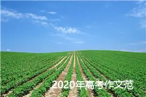 2020年高考作文范文预测：有一种任性叫执着_作文1600字_高考作文预测