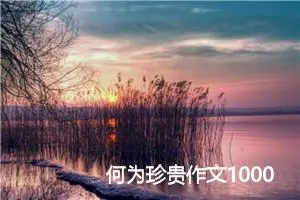 何为珍贵作文1000字_高三作文