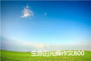 生命的光辉作文800字_高二作文