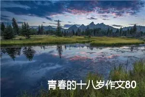 青春的十八岁作文800字_高三作文