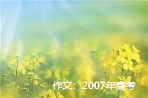 作文：2007年高考优秀作文（福建）--无字碑歌