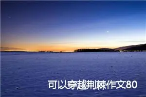 可以穿越荆棘作文800字_高二作文