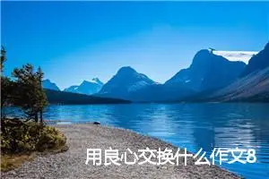 用良心交换什么作文800字_高三作文