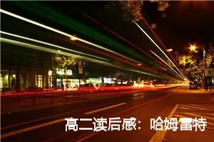 高二读后感：哈姆雷特的读后感_作文1600字_高中读后感