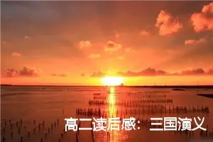 高二读后感：三国演义的读后感_作文500字_高中读后感