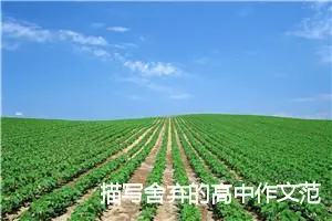 描写舍弃的高中作文范文_作文650字_高考材料作文