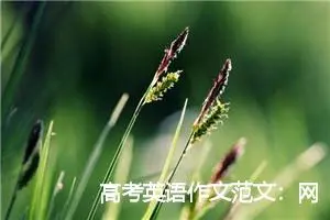 高考英语作文范文：网络舆论_作文1200字_高考作文赏析