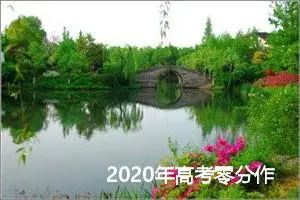 2020年高考零分作文：营销中的话长话短_高考零分作文