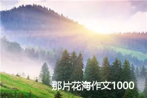 那片花海作文1000字_高三作文