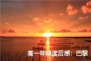 高一年级读后感：巴黎圣母院的读后感言_作文300字_高中读后感