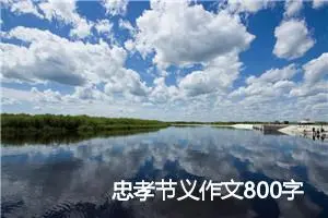 忠孝节义作文800字_高一作文