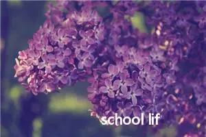 school life英语作文_作文850字_高一作文