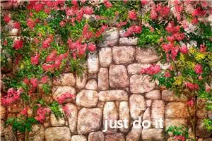just do it_作文650字_高一作文