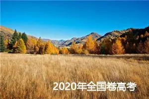 2020年全国卷高考0分作文_高考零分作文