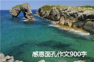 感恩面孔作文900字_高一作文