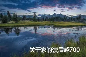 关于家的读后感700字精选_高中读后感