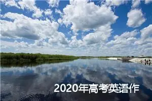 2020年高考英语作文真题：网络投票_作文450字_高考作文赏析