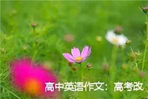 高中英语作文：高考改革的好与坏_作文1250字_高考作文赏析