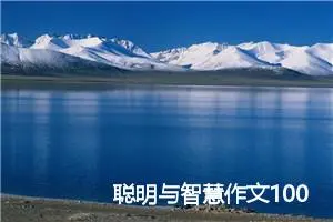 聪明与智慧作文1000字_高二作文