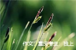 作文：重庆考生：独上高楼
