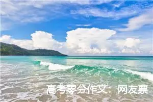 高考零分作文：网友票选最具风采的人_高考零分作文
