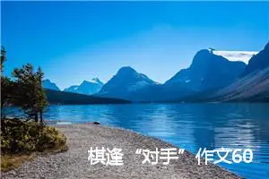 棋逢“对手”作文600字