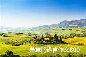 善意的谎言作文800字