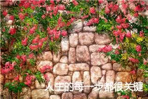 人生的每一步都很关键作文_作文550字_高二作文