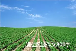 调位风波作文800字