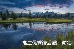 高二优秀读后感：海狼读后感600字_高中读后感