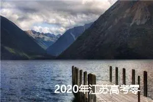 2020年江苏高考零分作文：从“出无车”说起_高考零分作文
