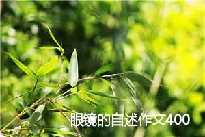眼镜的自述作文400字