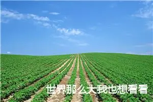 世界那么大我也想看看作文1000字_高三作文