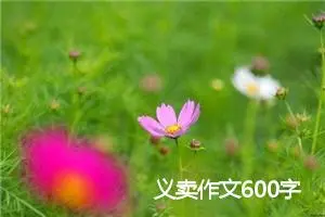 义卖作文600字
