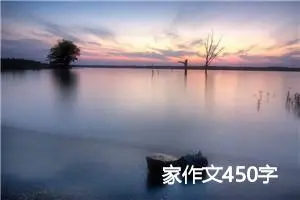 家作文450字