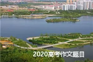 2020高考作文题目预测：从半高处去看世界_作文1100字_高考作文预测