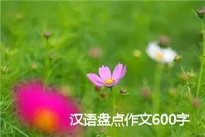 汉语盘点作文600字_高三作文
