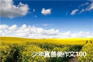 少年真善美作文1000字_高二作文