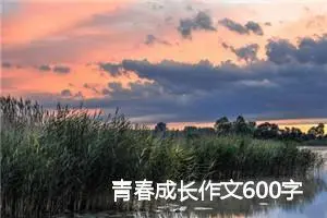 青春成长作文600字_高三作文