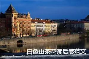 白色山茶花读后感范文800字精选_高中读后感